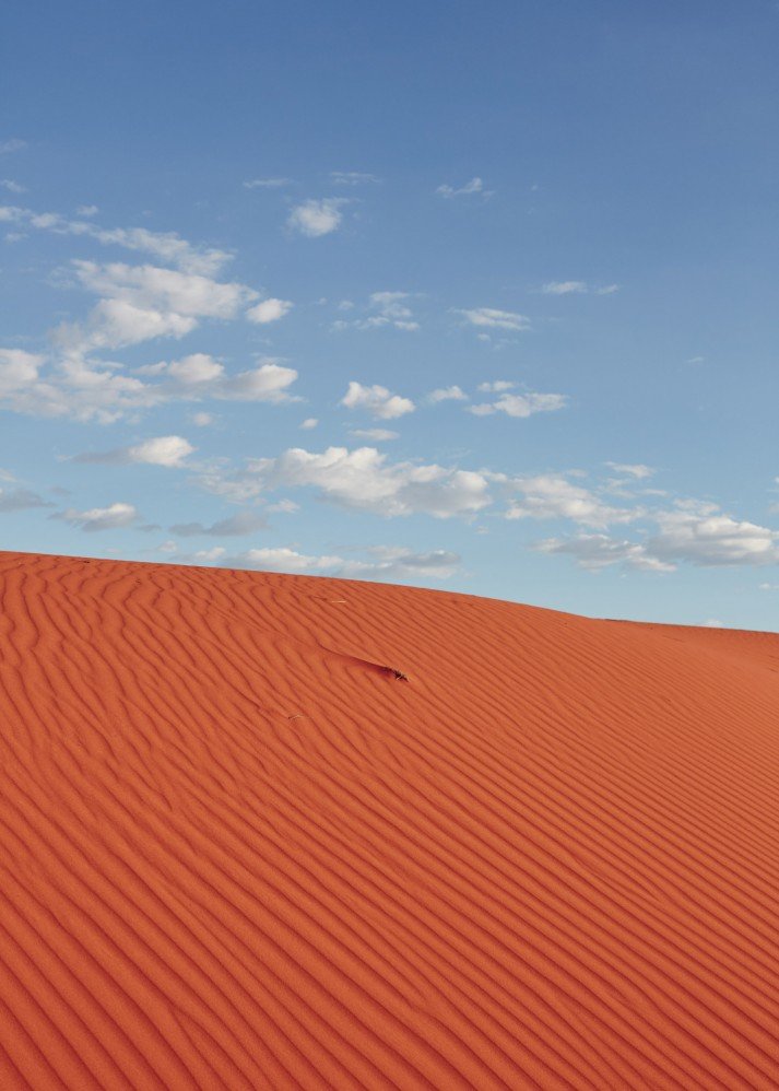 Sean-Fennessy-Melbourne-Monocle_Windorah_2068