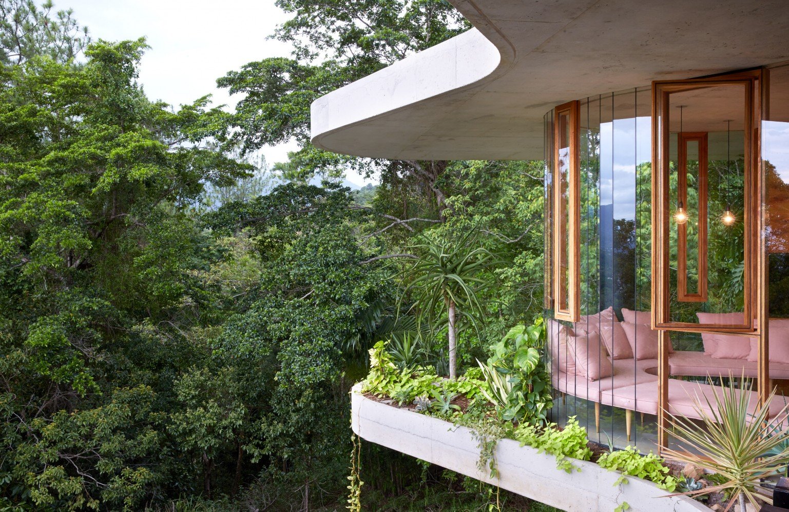 Sean-Fennessy-planchonella-house083