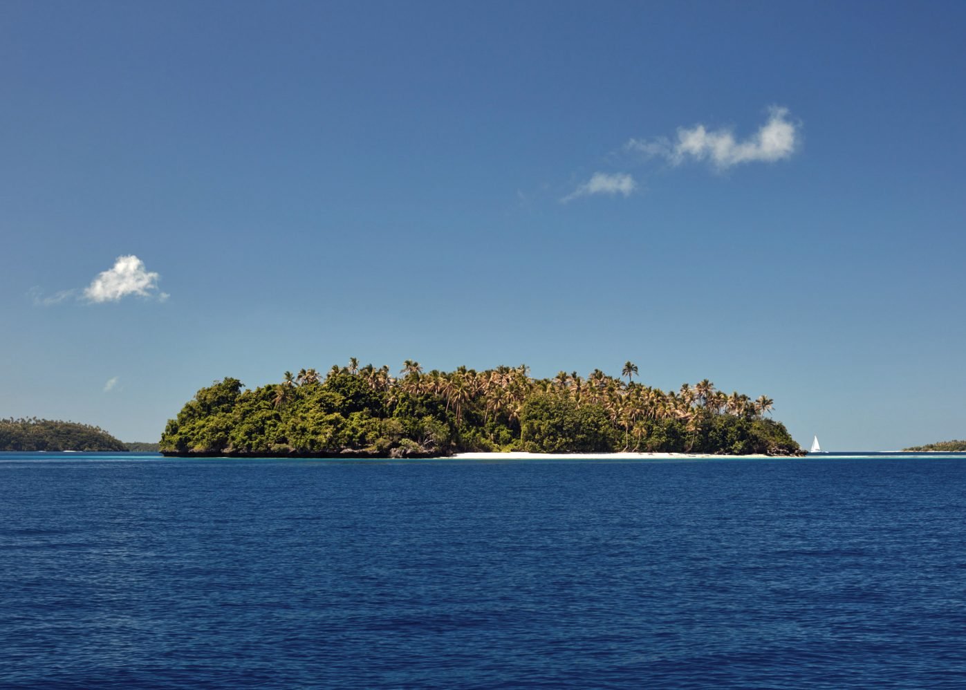 Sean_Fennessy_Tonga_Whales_006D