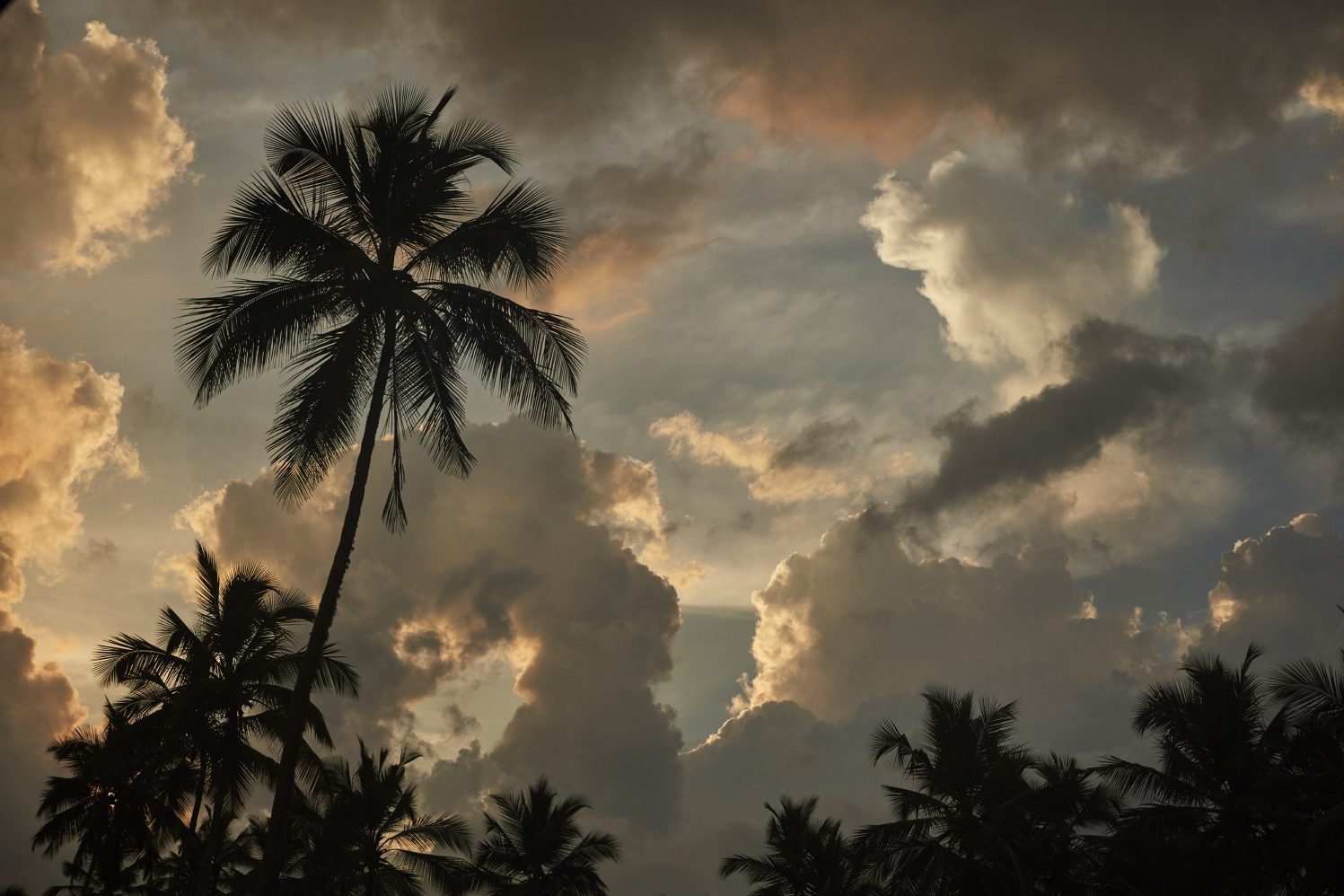 Sean-Fennessy_Sri-Lanka_Qantas_014