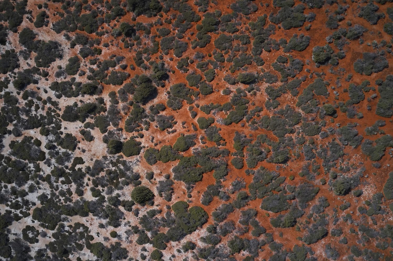 T+L_WA_061